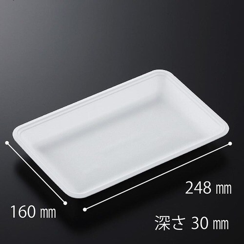 発泡トレー CN25−16F(L) 12セット