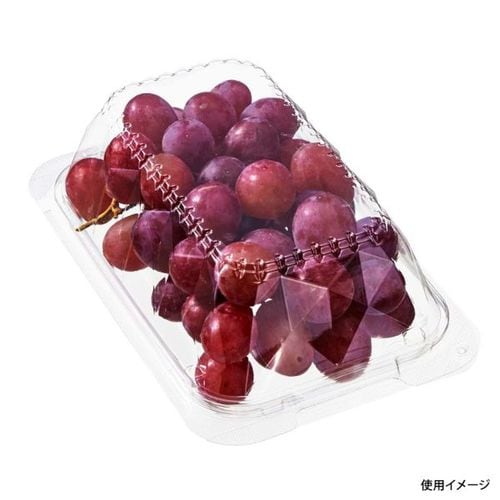 フードパック C−APG SDL−3 12セット