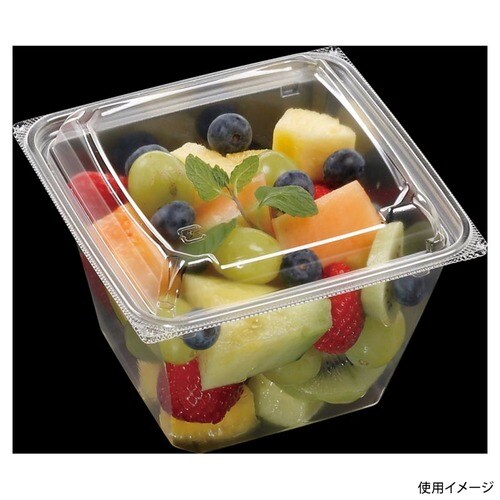 AP−FBOX 13−13(61) エコ ×16