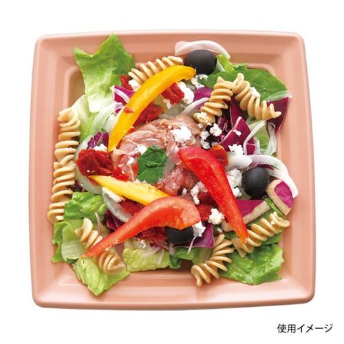 軽食容器CT沙楽K20−20NP−BK身×12