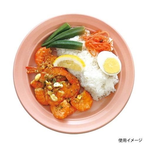 軽食容器 CT沙楽 M24 NP−BK 身 ×8