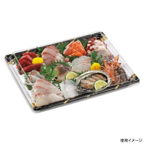 刺身容器 長角鉢31−24盛台TZ 雪舟金 ×16