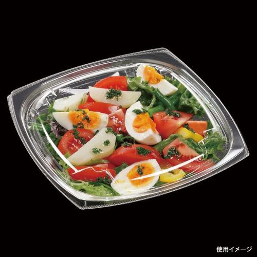 APエルモ20−20(40) 本体 エコ ×12