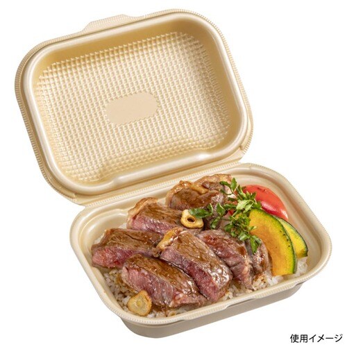 DLVボーノ19−15MFP ベージュ 9セット