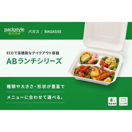 シンABバガス ランチ200−220フードパック