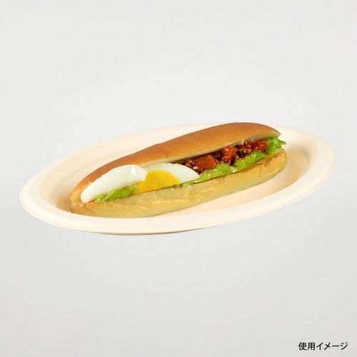 新BB楕円プレート 250−190 2セット