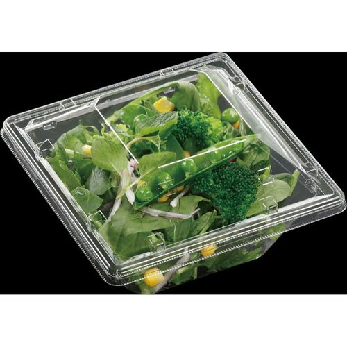 APモダン15−15(55)本体 エコ 18セット