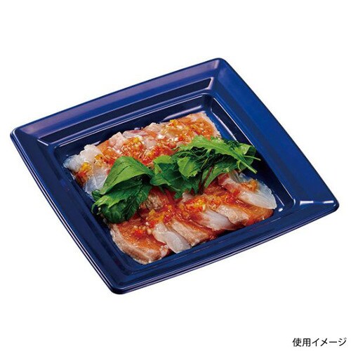 汎用トレーCT沙楽K18−18紺−BK身1×16