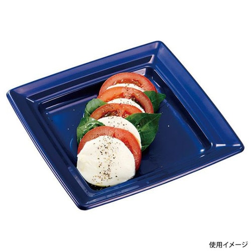 汎用トレーCT沙楽K18−18紺−BK身1×16