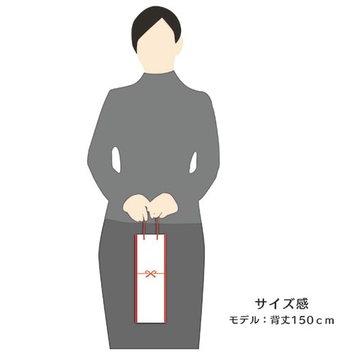 小物用ギフトバッグ 水引柄 1パック(10枚入)