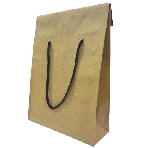 ギフト蓋付きペーパーバッグ 1パック(10枚入)