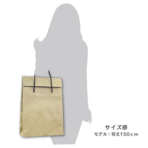 ギフト蓋付きペーパーバッグ 1パック(10枚入)