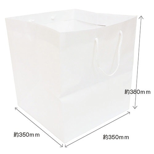 マチ広紙袋 M 1パック(5枚入)