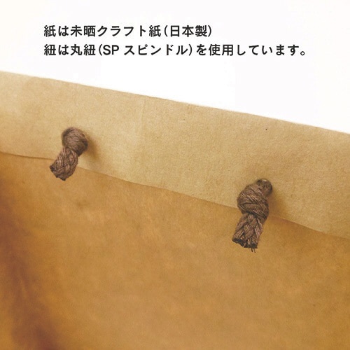 テイクアウト用クラフト紙袋L 1パック(10枚入)