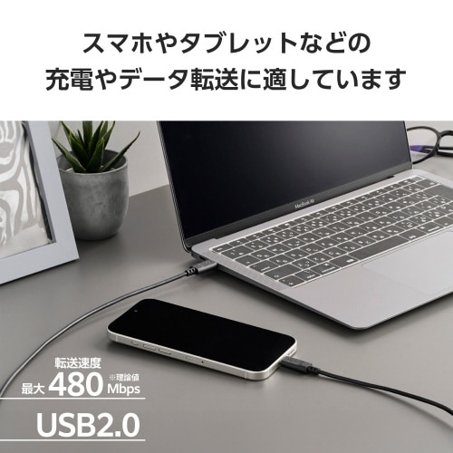 USBケーブル CtoC 60W 2本セット 黒