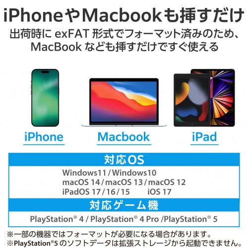 外付SSD 500GB USBメモリ型 シルバー