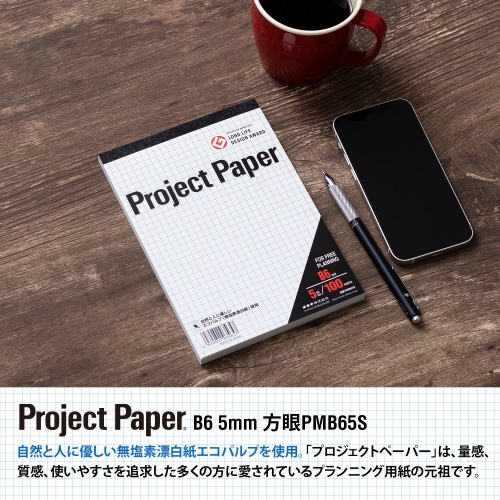 プロジェクトペーパーB6100枚×10