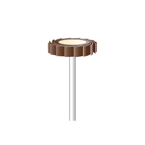 5本入 軸付ポリゴンサンダーφ24X5#400