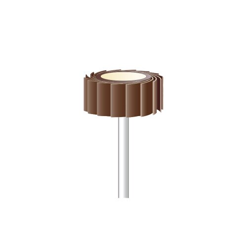 5本入 軸付ポリゴンサンダーφ24X10#400