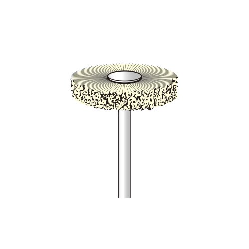 2本入 パキンブラシ/ホイール型φ25X5