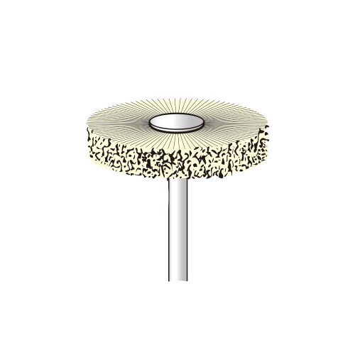 2本入 パキンブラシ/ホイール型φ30X6