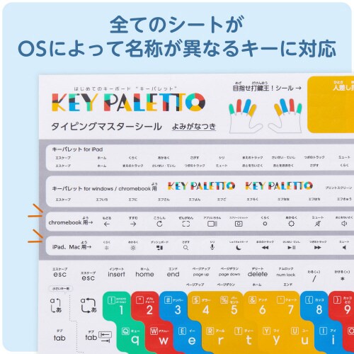 キーボード タイピング練習 シール 4種類入り