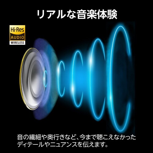 ワイヤレスイヤホン ハイレゾ LDAC ブラック
