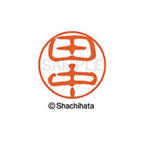 シヤチハタネーム ブラック11 田中