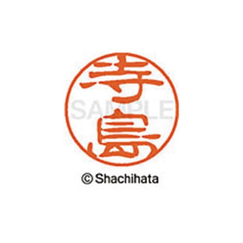 シヤチハタネーム ブラック11 寺島