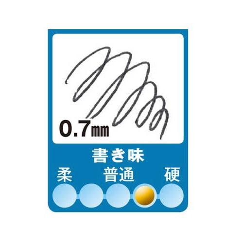 インディゴーゴーボールペン 0.7mm 黒10本入