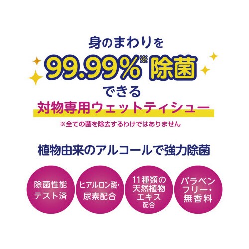 ウェットティシュー除菌99.99% 詰替 80枚
