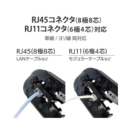 ߍH@qiSTRlN^Ή