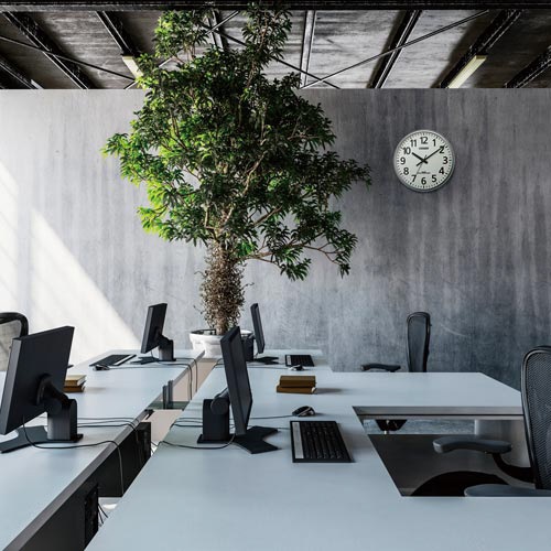 シチズン 大型電波時計