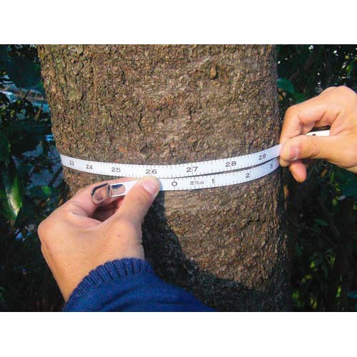 ダイヤメータールール 2m