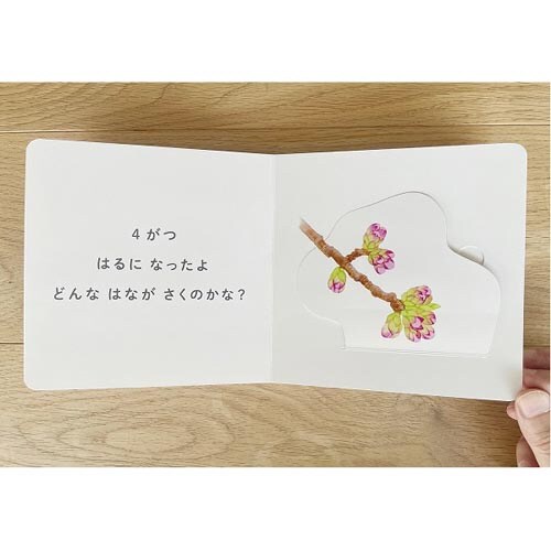 どんなはながさく?