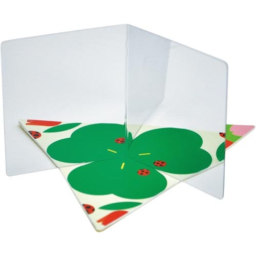 みてみてミラー