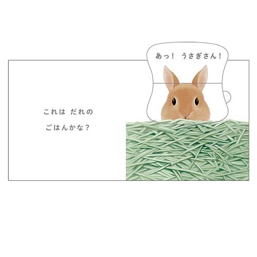 だれのごはんかな?