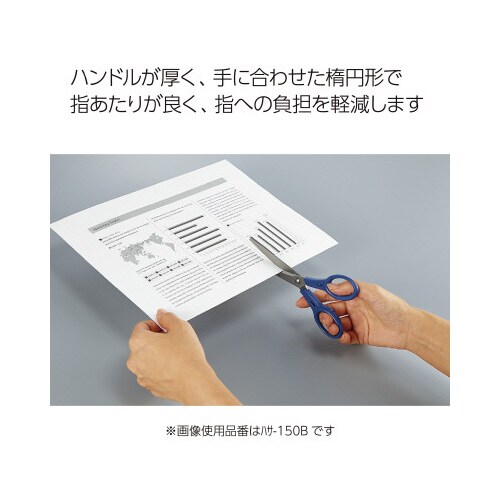 はさみ テピタ ハンドルサイズ小 黒