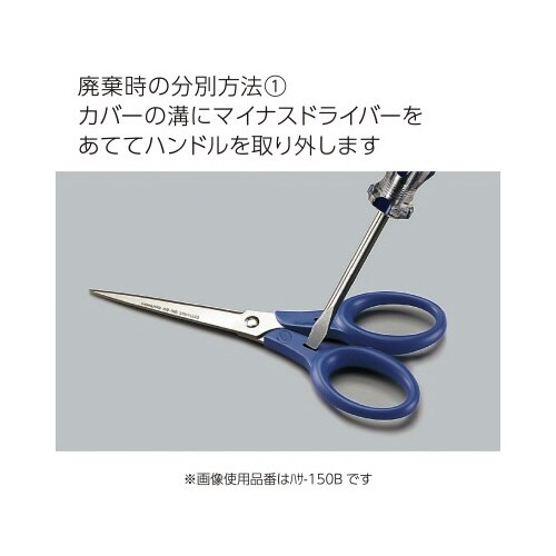 はさみ テピタ ハンドルサイズ小 黒