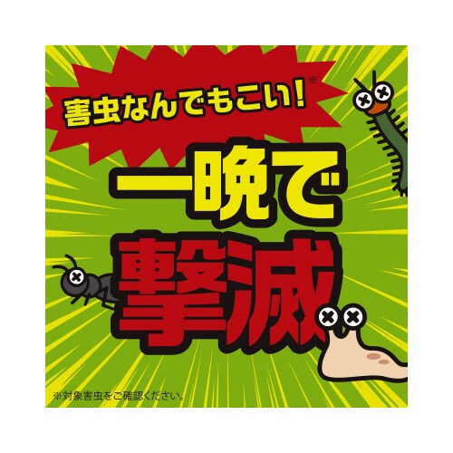 ハイパーお庭の虫コロリ 300G