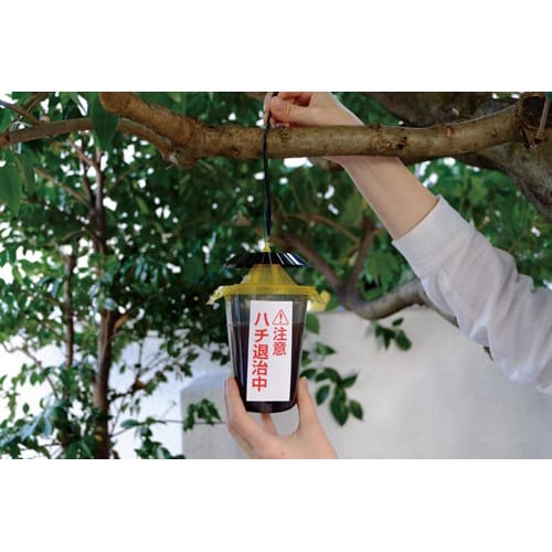 ハチがホイホイ