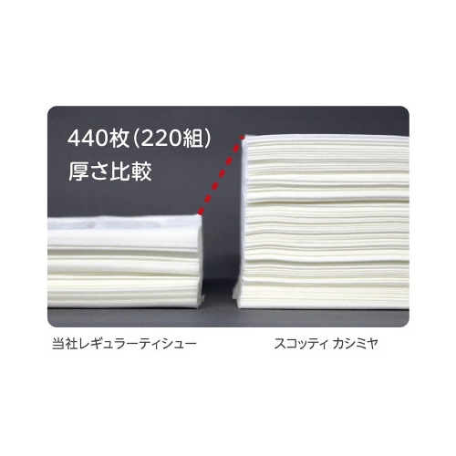 スコッティ カシミヤ 寿 440枚(220組)