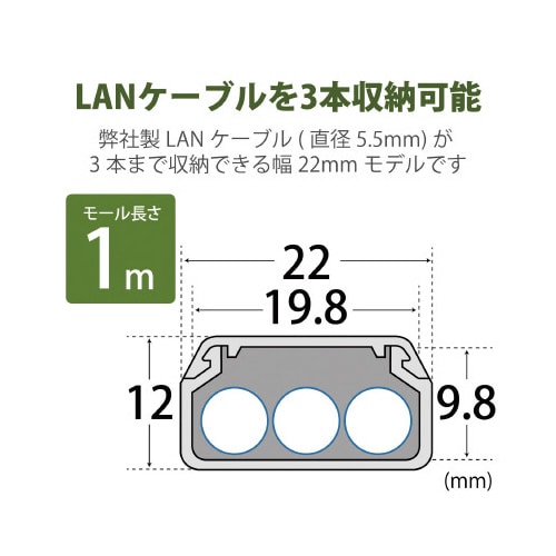 内寸幅19.8mm ブラウン
