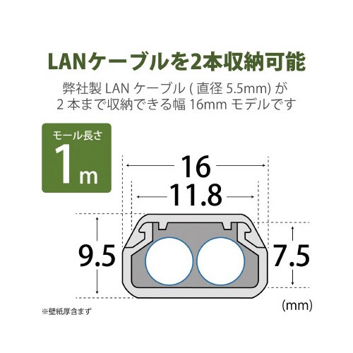 1m 内寸幅11.8mm