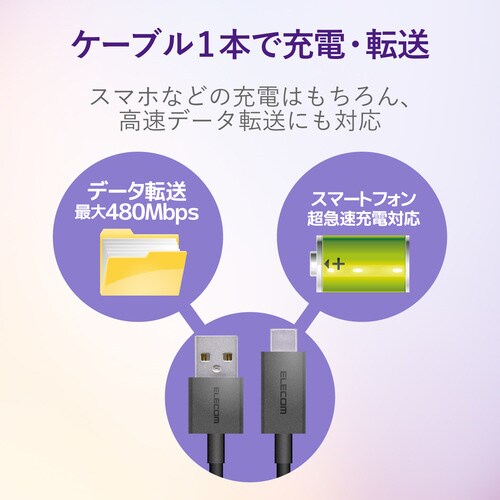 タイプC 1.2m ブラック