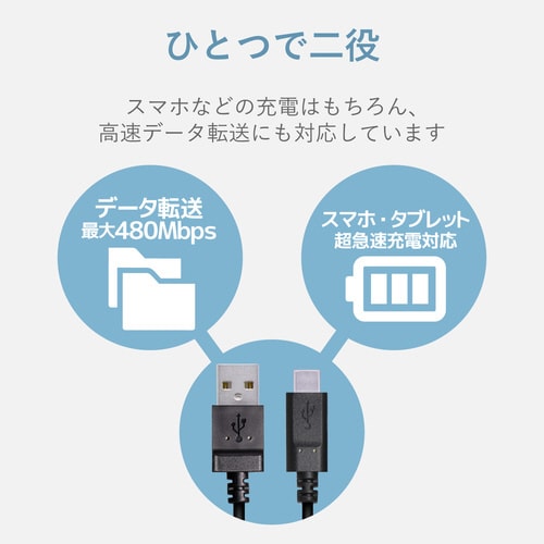 タイプC 1.0m ブラック