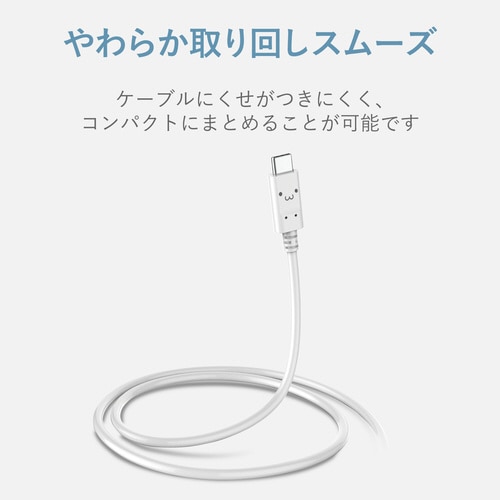 タイプC 1.0m フェイス