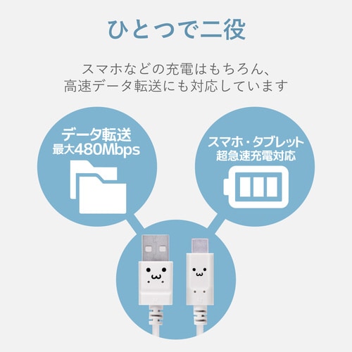 タイプC 1.0m フェイス
