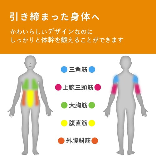 腹筋ローラー スタンダード マット付き 白箱