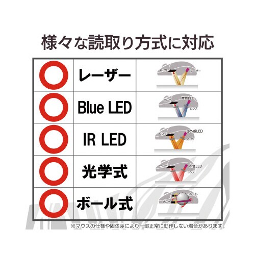 アニマルマウスパッド/イルカ